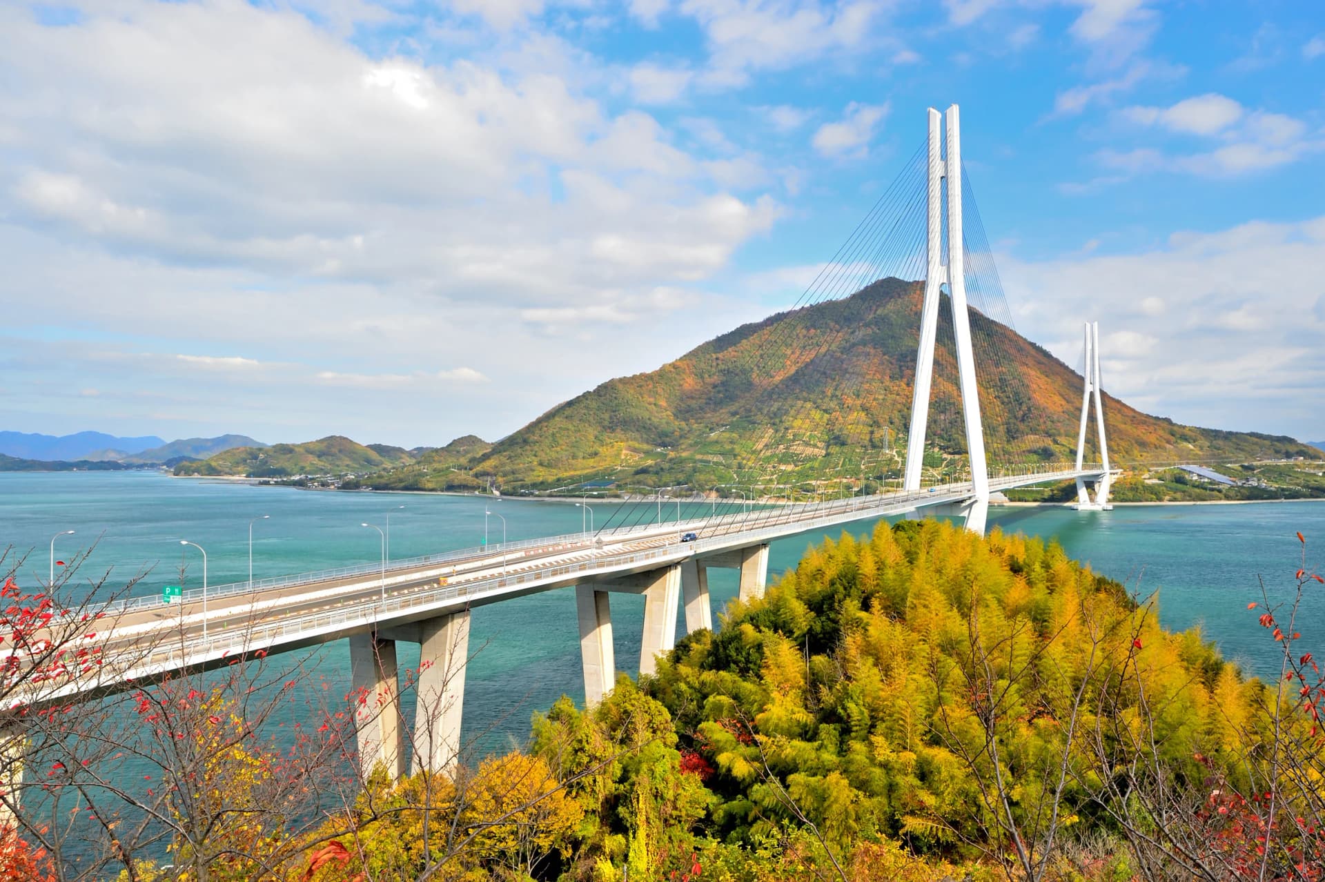 See the Tatara Bridge in autumn colours