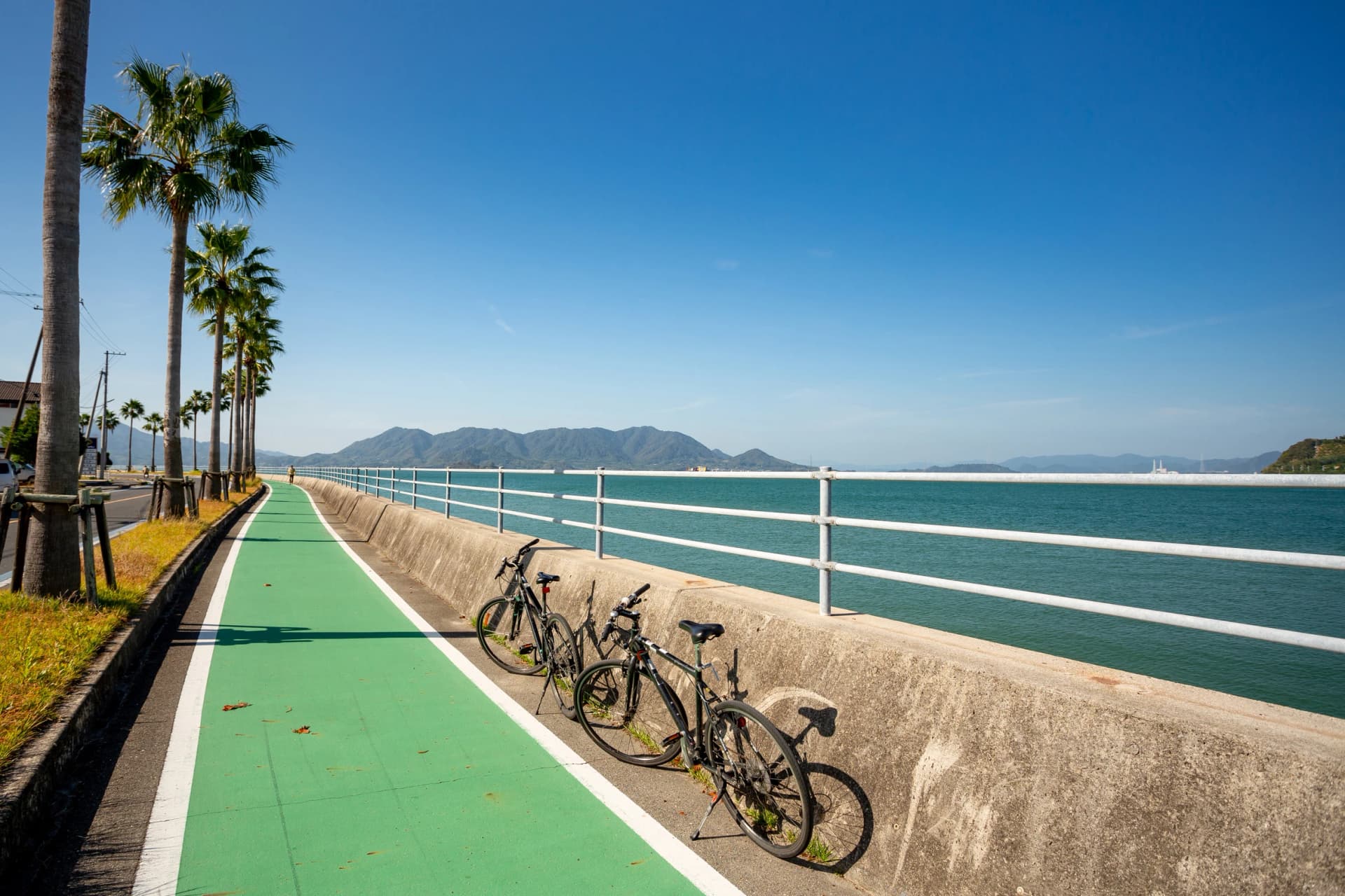 Follow the green cycle lane along the sea